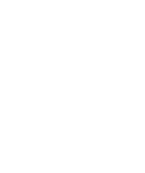 Hustle Hustle